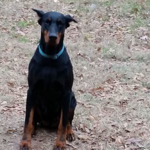 Meet your Posher, Christie